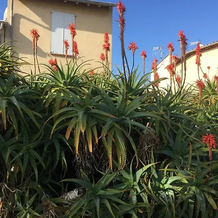 Le Melody Apartament Antibes