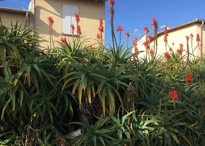 Le Melody Lägenhet Antibes